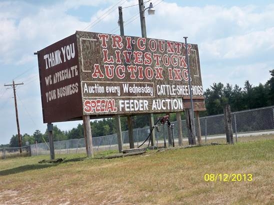 fergus falls livestock auction market