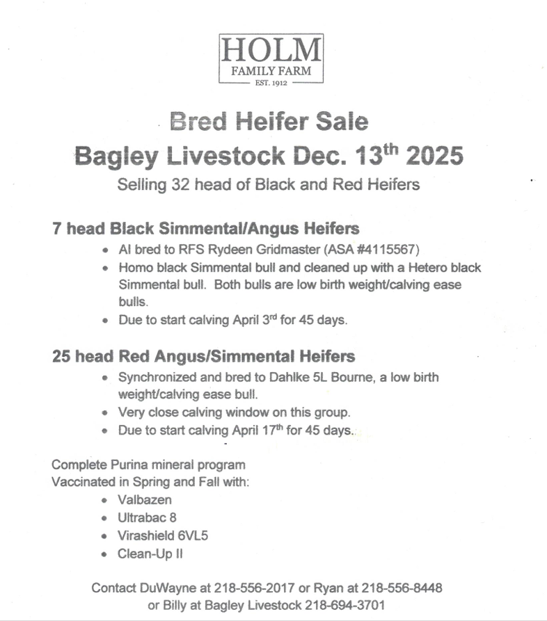 Screenshot 2025-12-11 111151