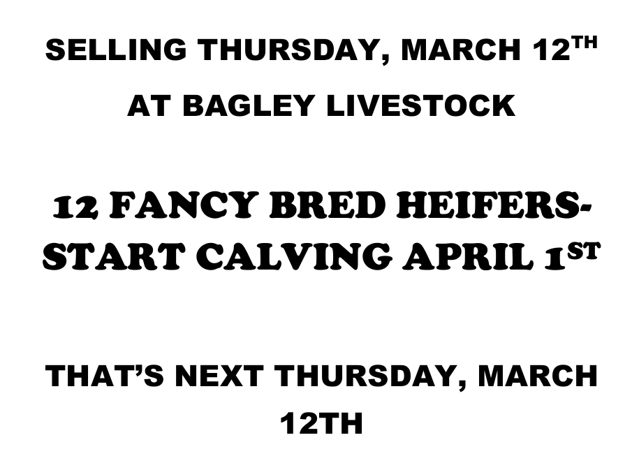 Screenshot 2026-03-05 103006